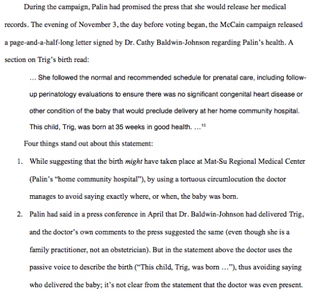 Illustration for article titled Did Sarah Palin Carry Out the Biggest Hoax in American Political History?